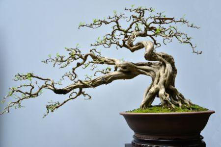 CHINE20190461